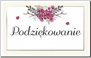 Podziękowania-dla-instytucji-foto